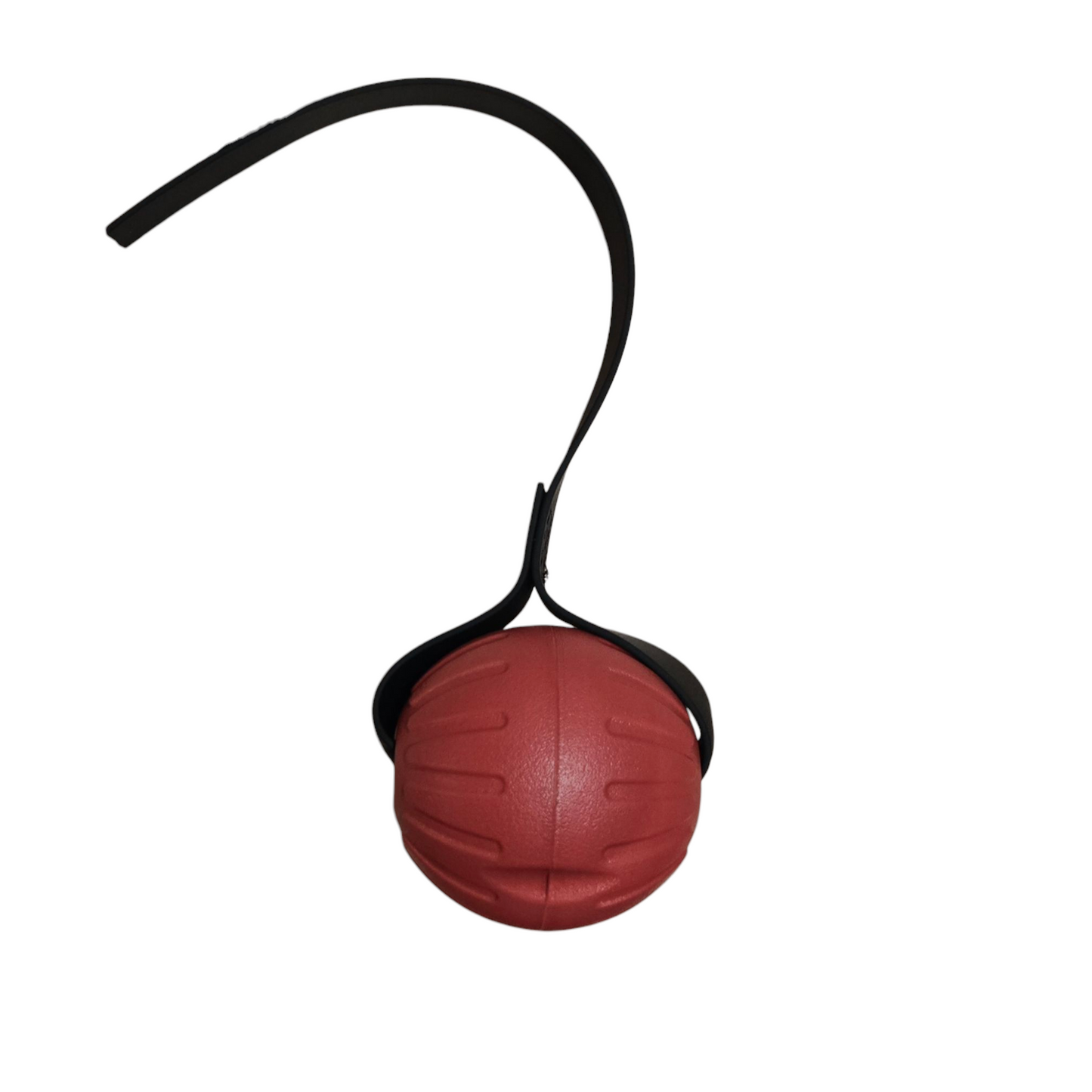 LARGE FOAM Ball with Stitched 1 inch Biothane Handle
