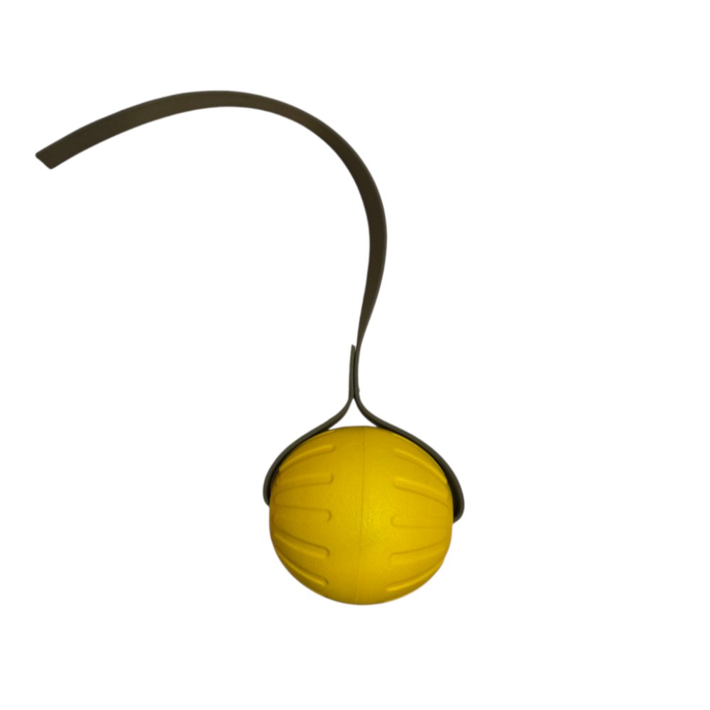 LARGE FOAM Ball with Stitched 1 inch Biothane Handle