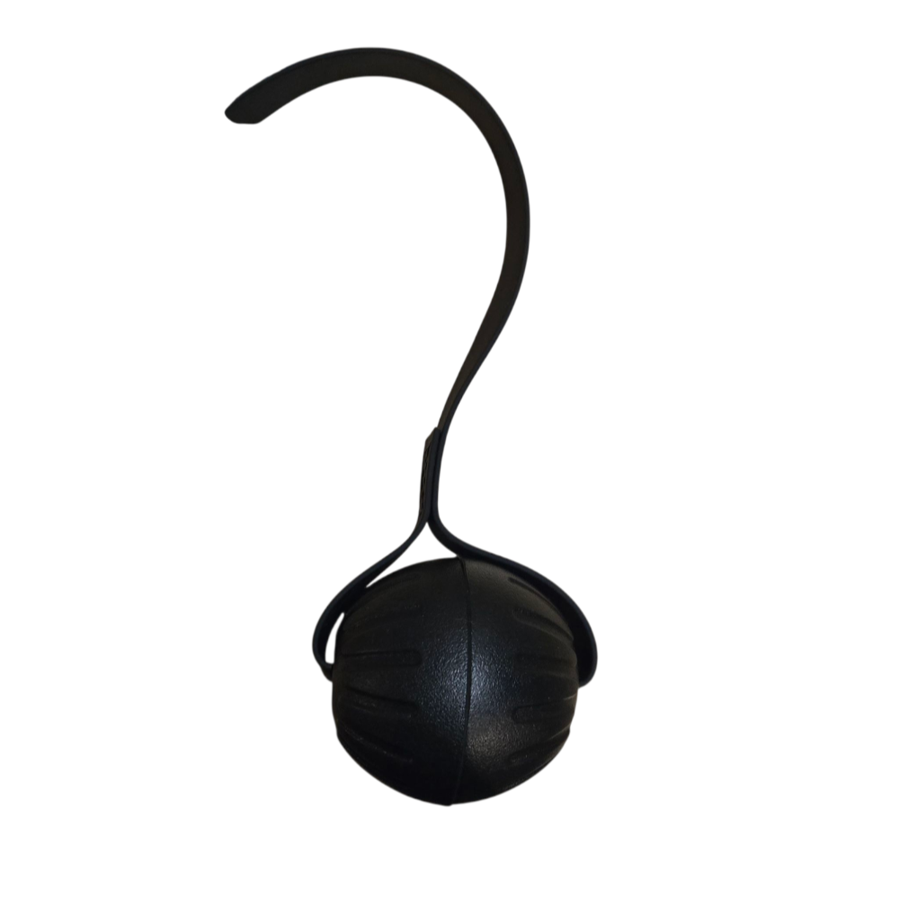 LARGE FOAM Ball with Stitched 1 inch Biothane Handle