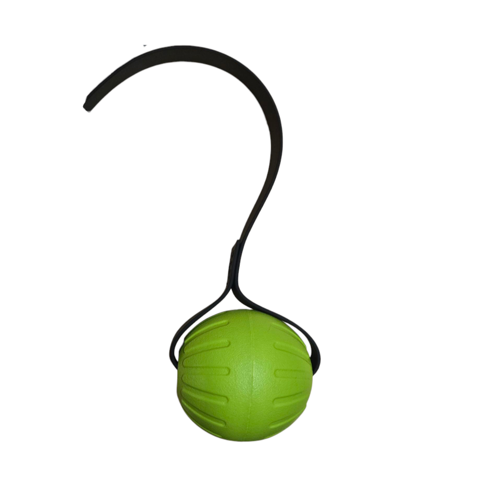 LARGE FOAM Ball with Stitched 1 inch Biothane Handle