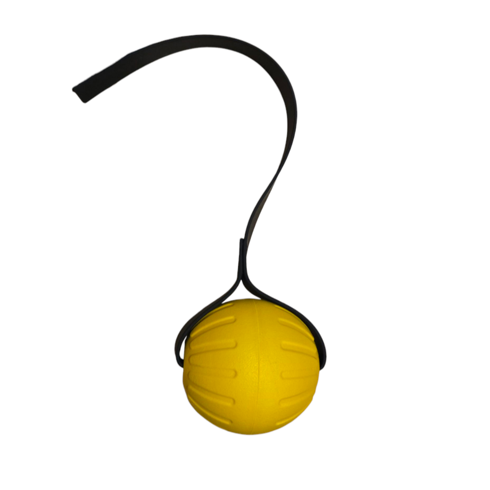 LARGE FOAM Ball with Stitched 1 inch Biothane Handle