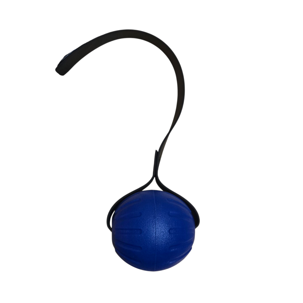 LARGE FOAM Ball with Stitched 1 inch Biothane Handle
