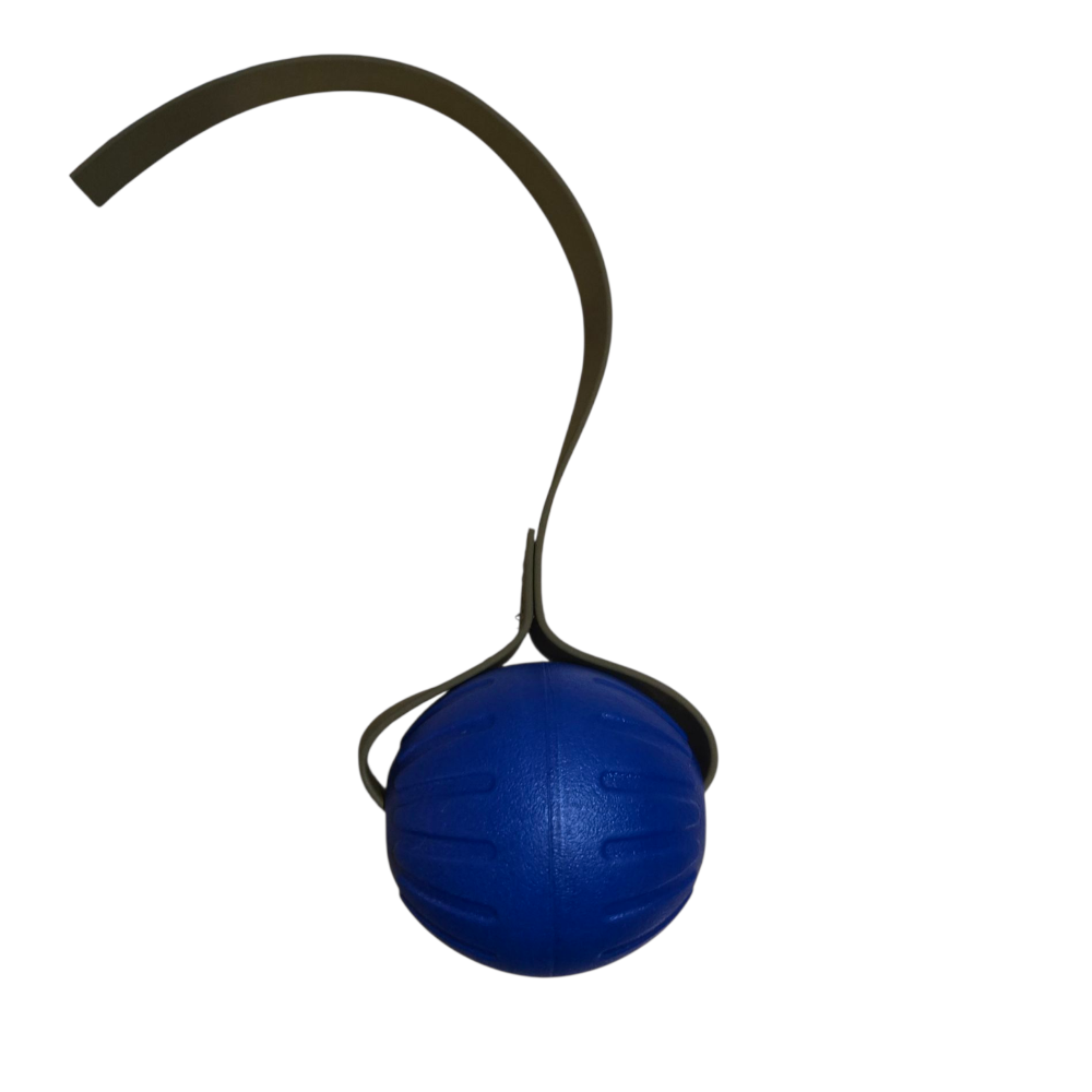 Blue ball with a black strap