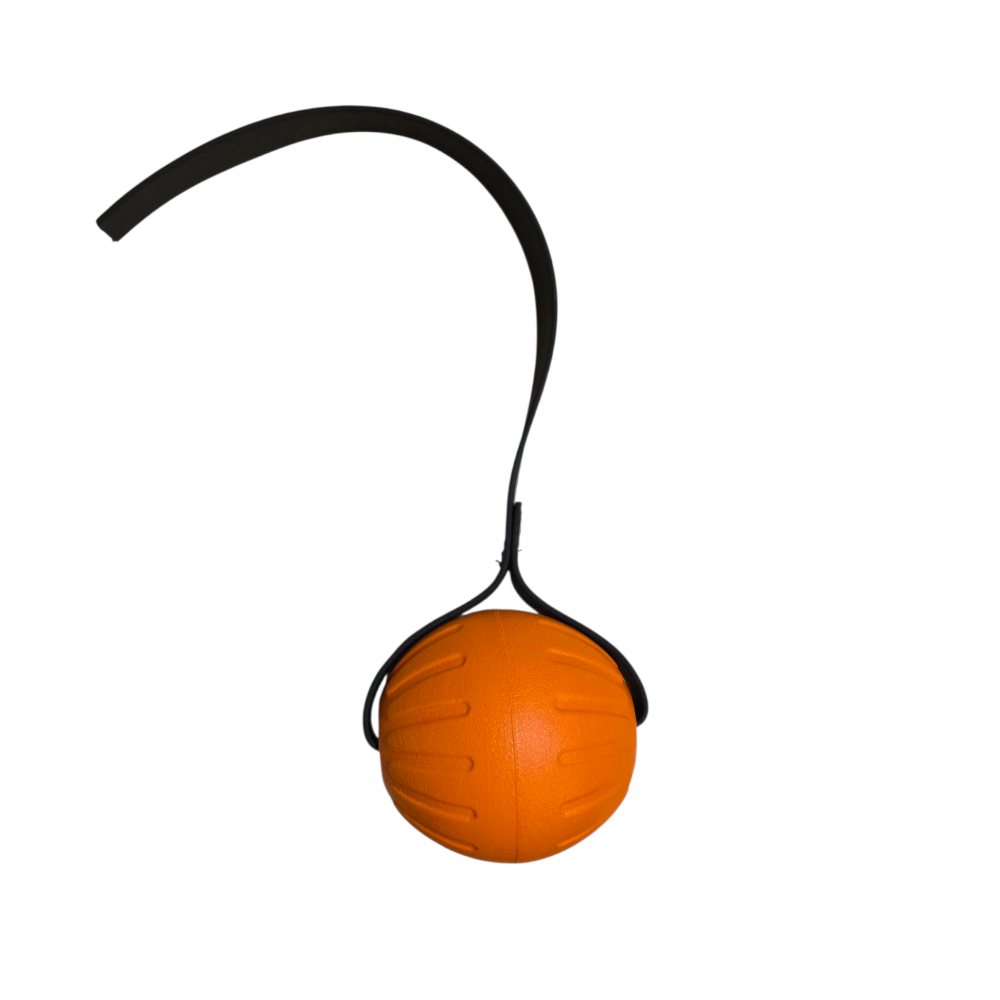 LARGE FOAM Ball with Stitched 1 inch Biothane Handle