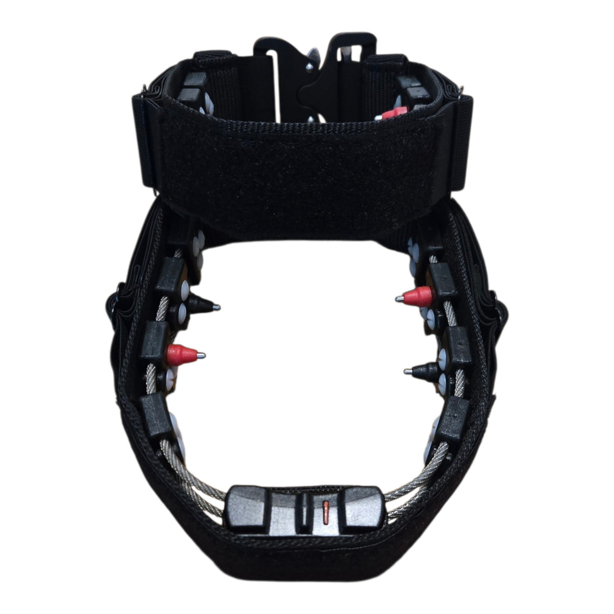 CHAMELEON CONCEALMENT COLLAR with COBRA BUCKLE
