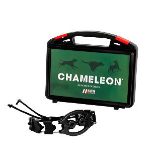 chameleon
