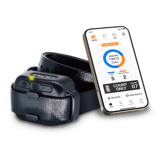dogtra smart nobark