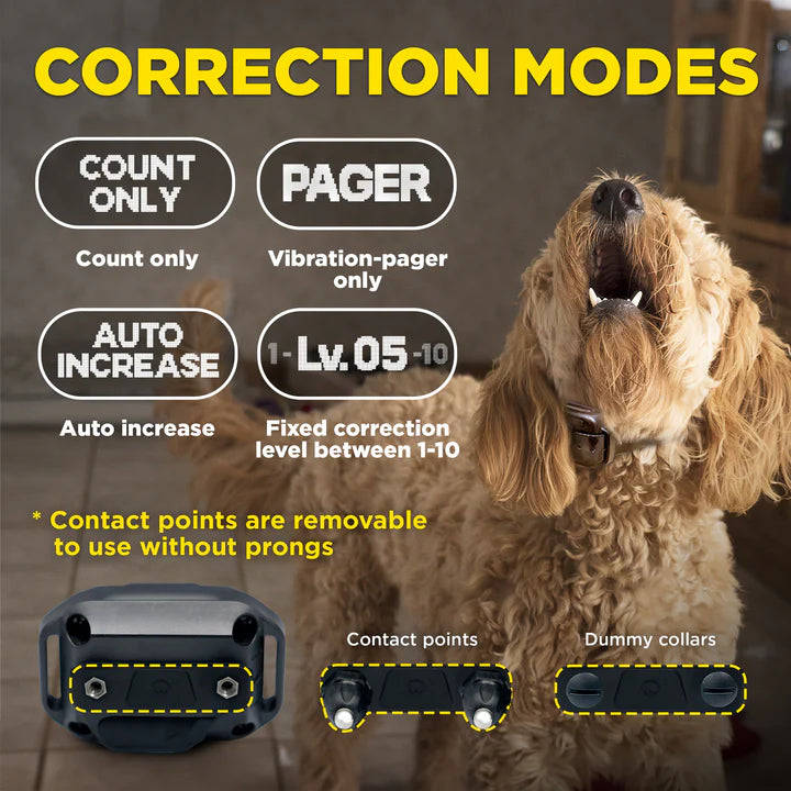 dogtra smart nobark near me