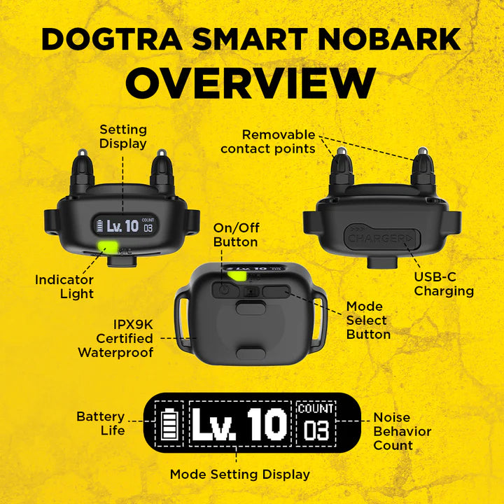 nobark collar near me usa