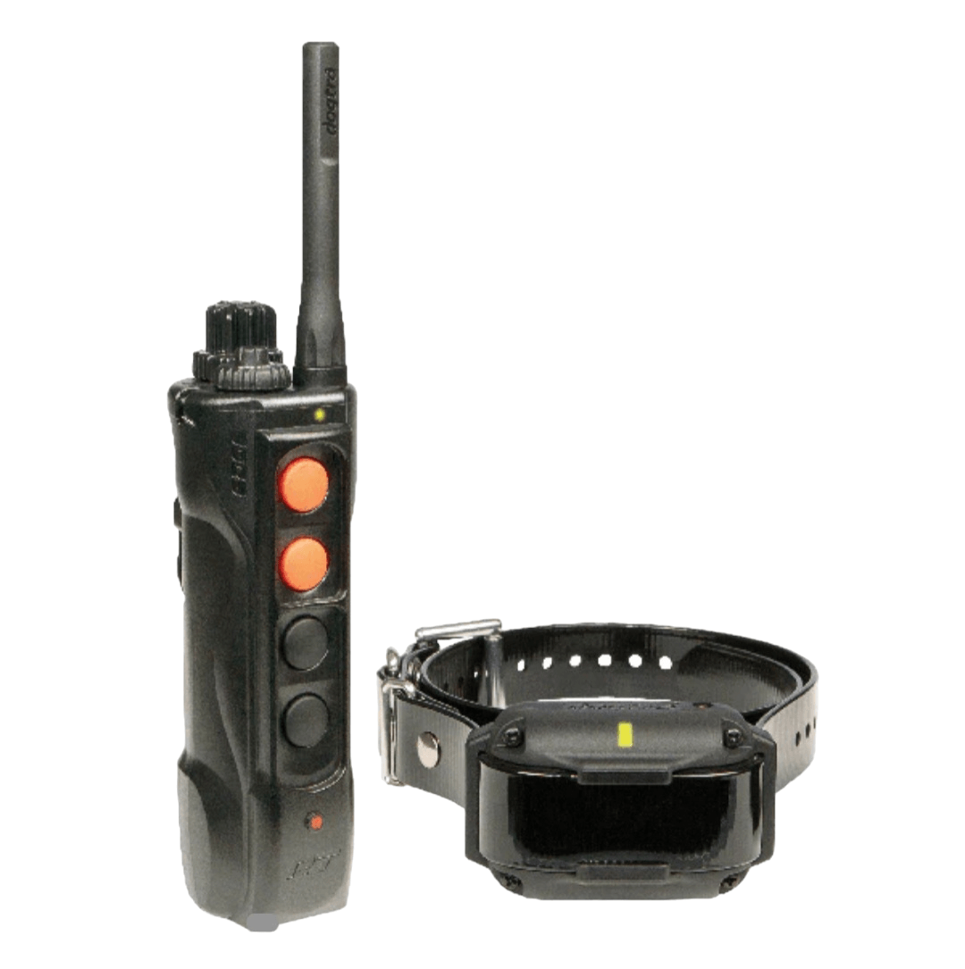 dogtra edge rt