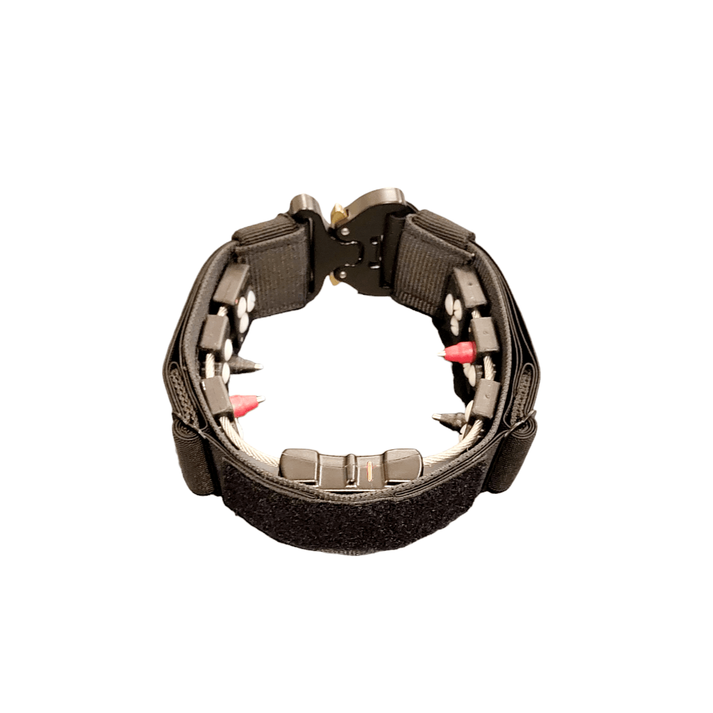 dog collar with cobra buckle