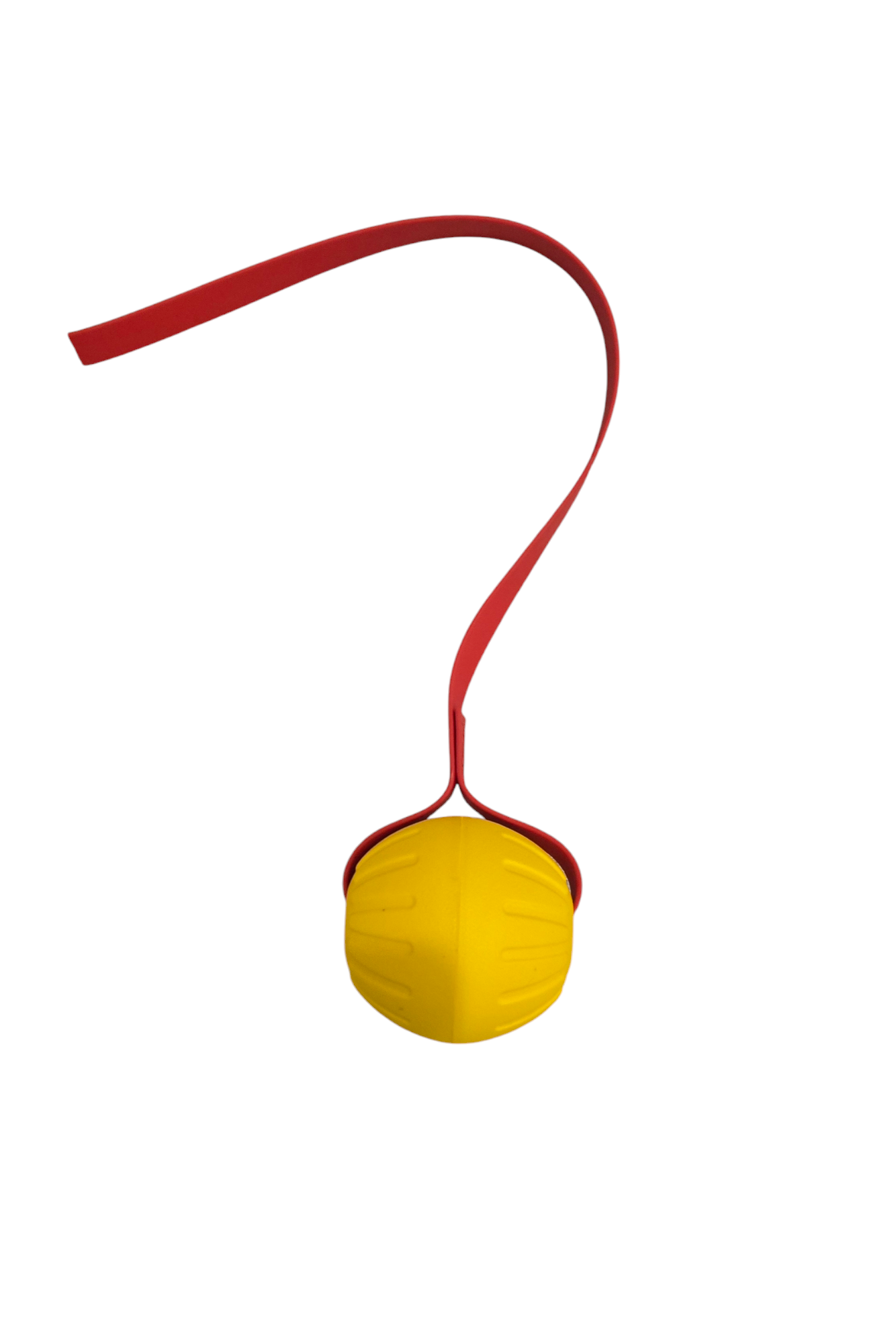 LARGE FOAM Ball with Stitched 3/4 inch Biothane Handle