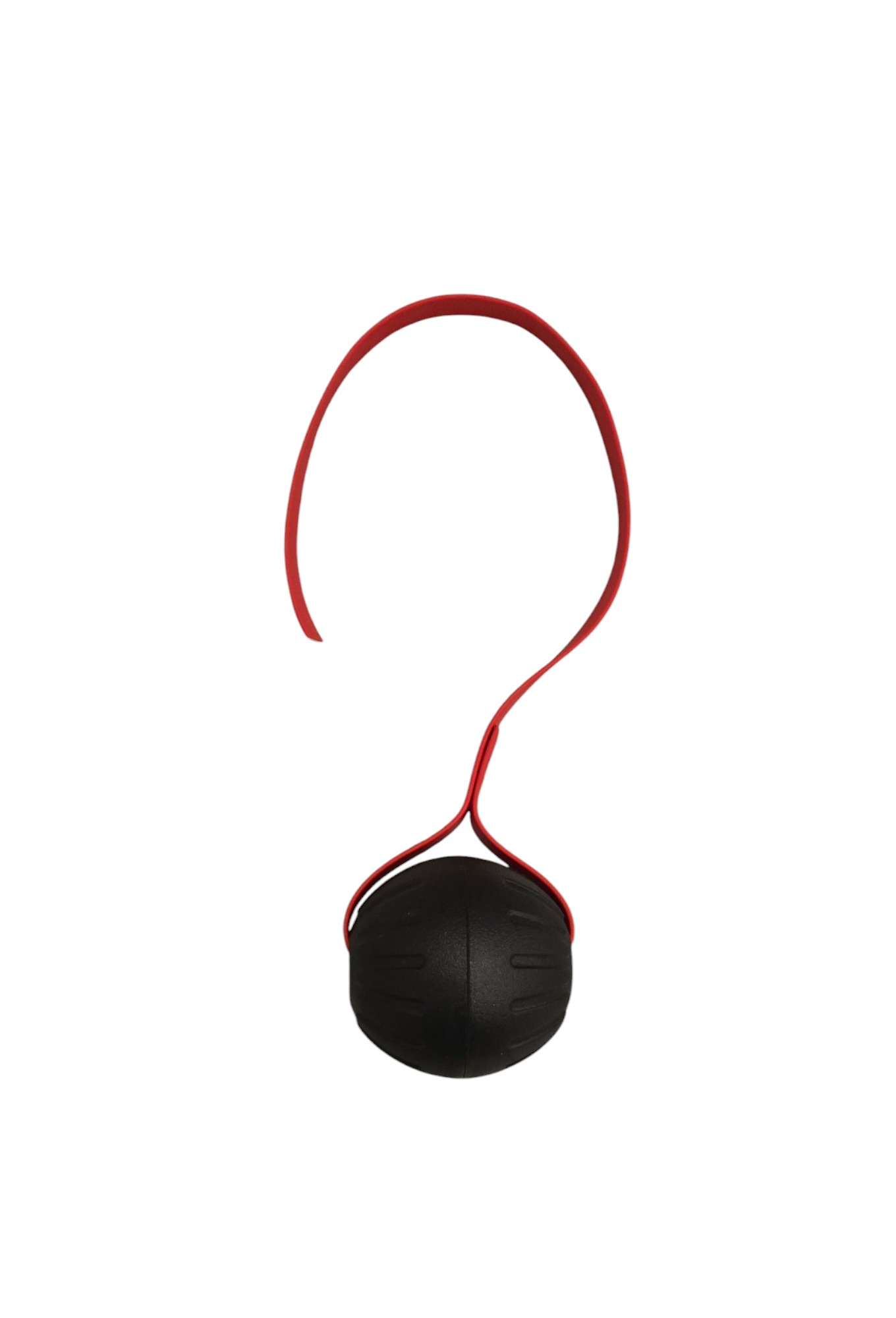 LARGE FOAM Ball with Stitched 3/4 inch Biothane Handle