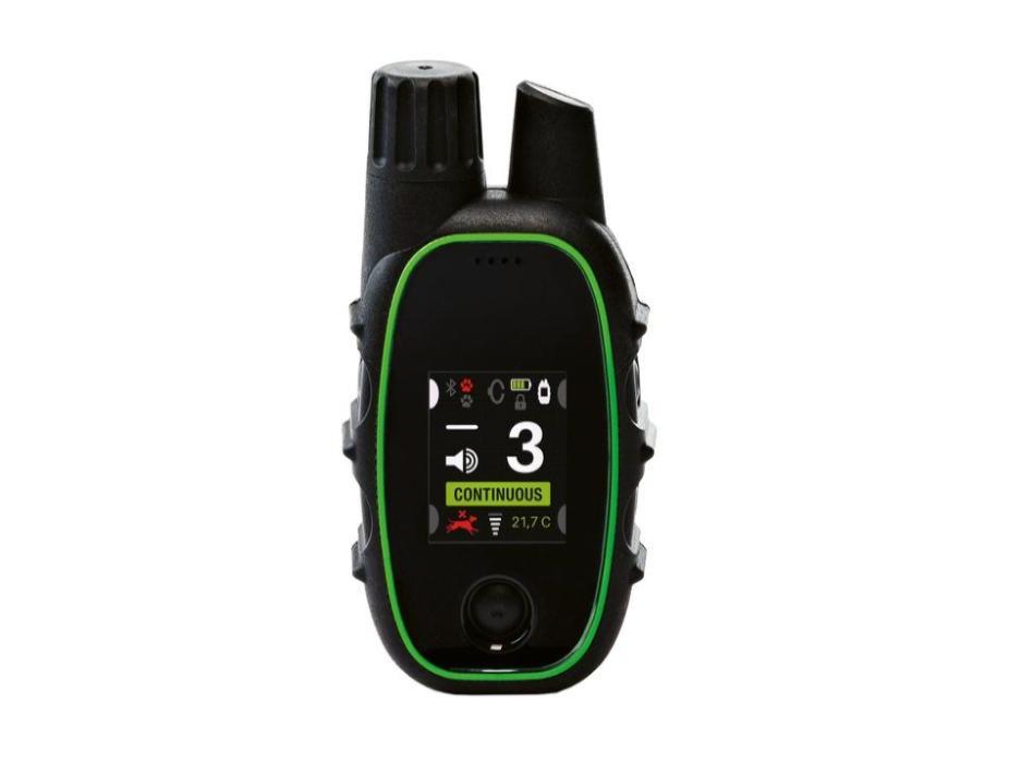 small remote dog training collar