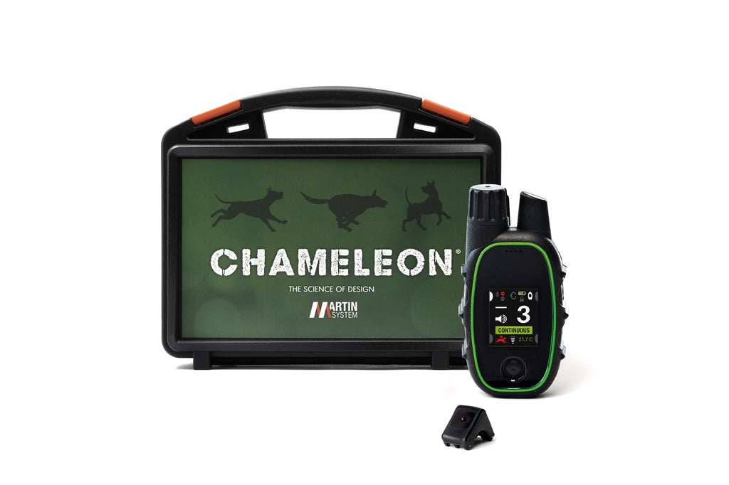 remote dog training collar