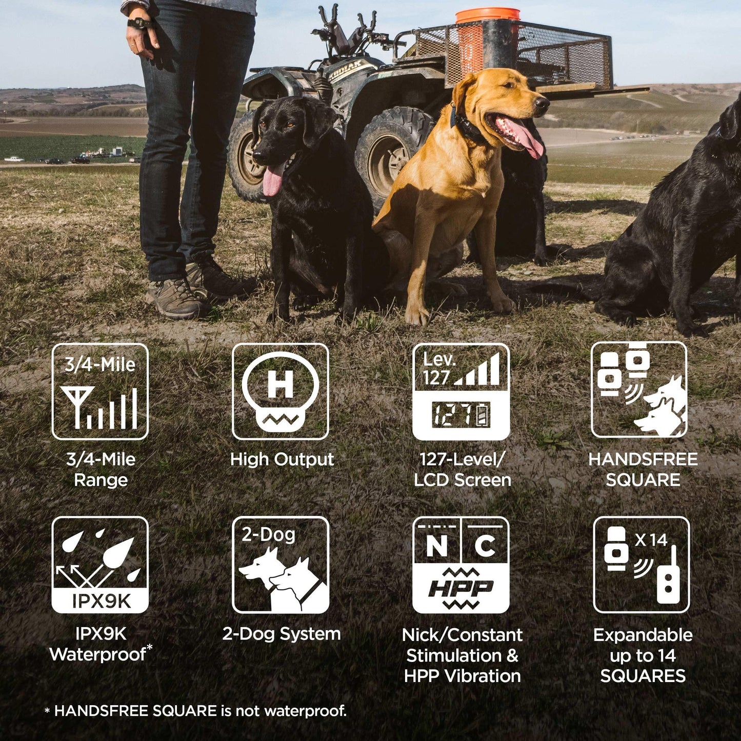 dogtra 1902s handsfree plus