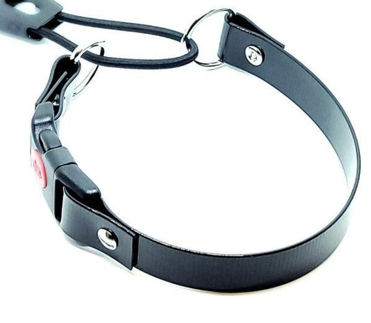 bungee e collar strap in usa