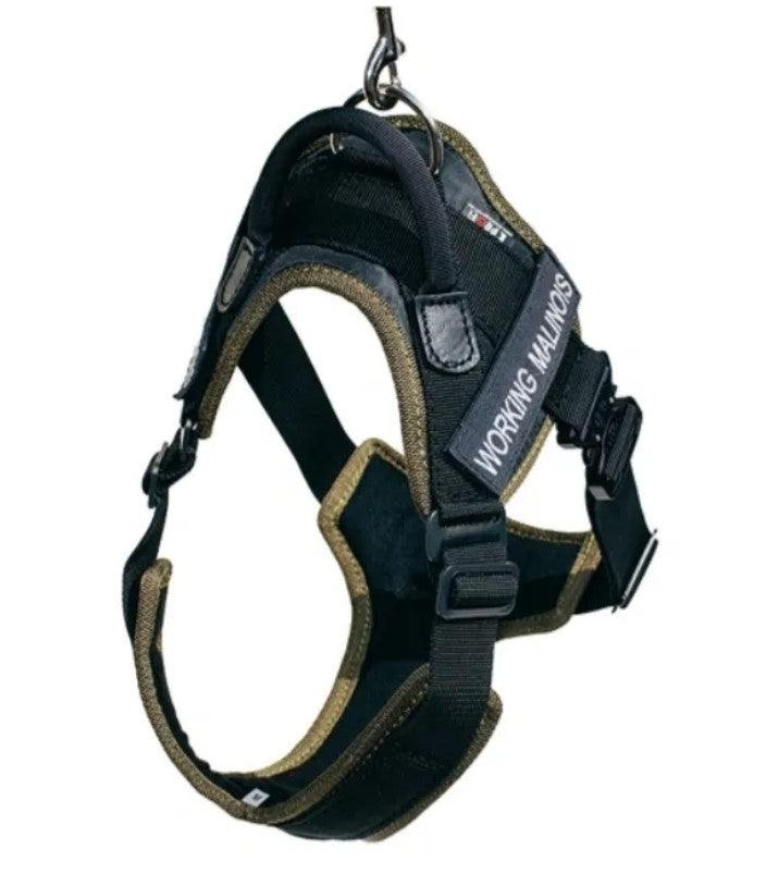 PROFESSIONAL WORKING HARNESS with COBRA BUCKLE Top Notch K9 Equipment