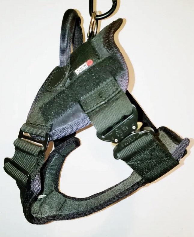 cobra buckle belts