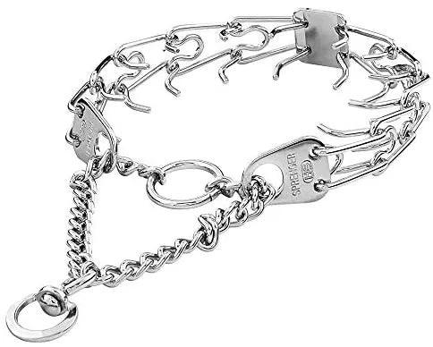 best dog training collar near me