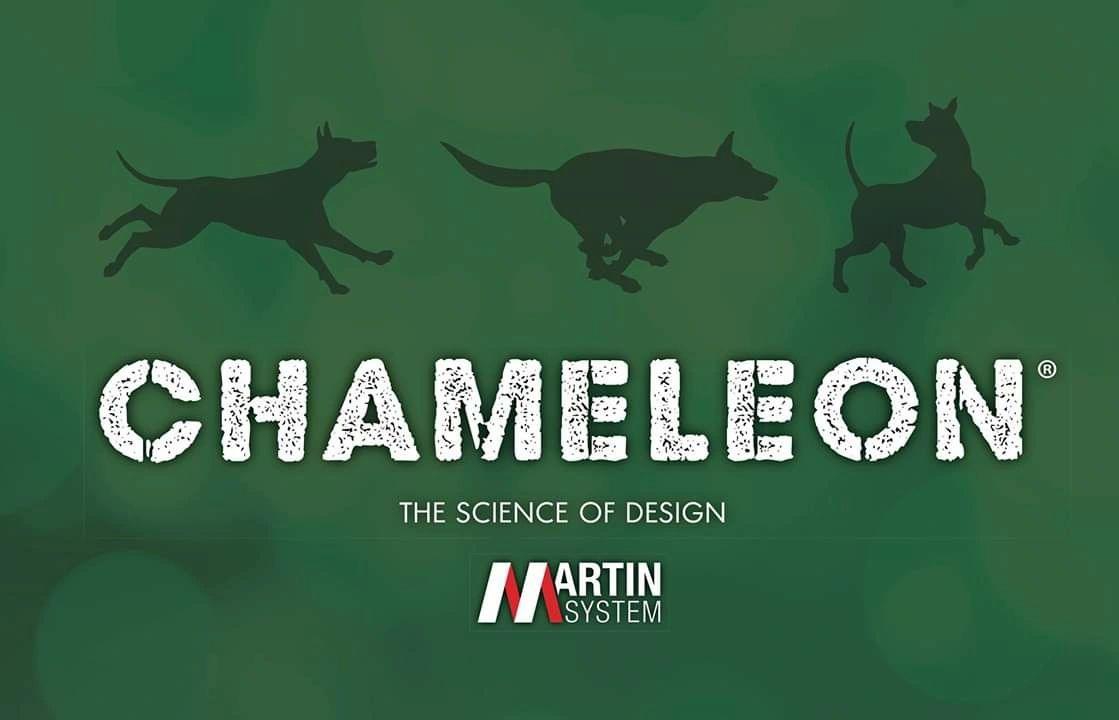 chameleon martin system