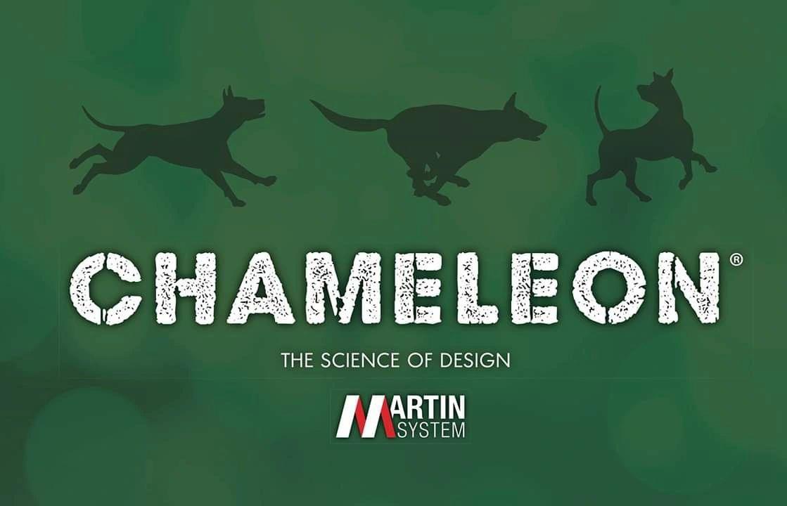 CHAMELEON® & MARTIN SYSTEM