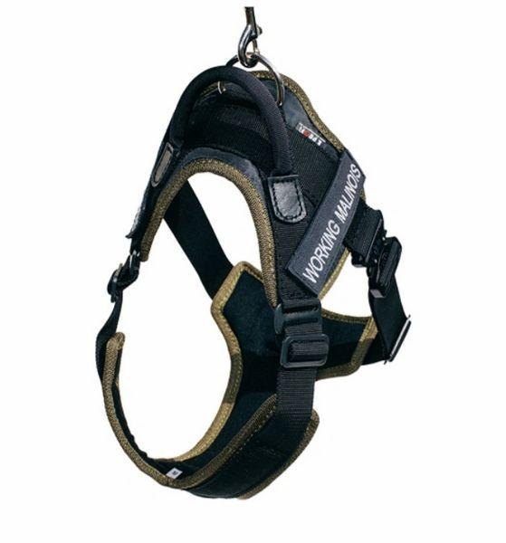Dog Harness And Leash Set