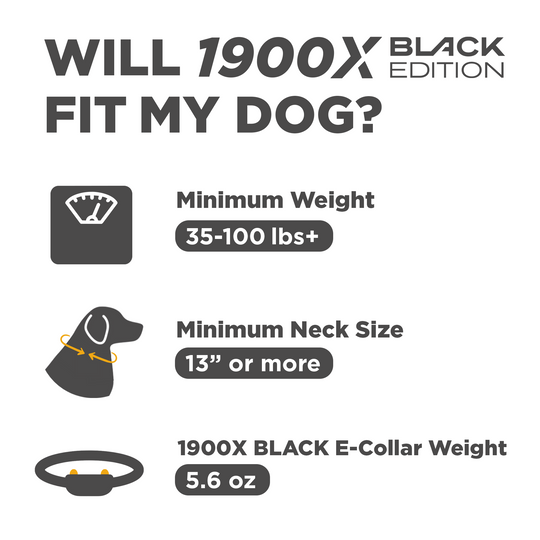 DOGTRA 1900X BLACK EDITION 1-DOG UNIT