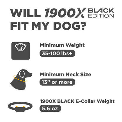 DOGTRA 1900X BLACK EDITION 1-DOG UNIT