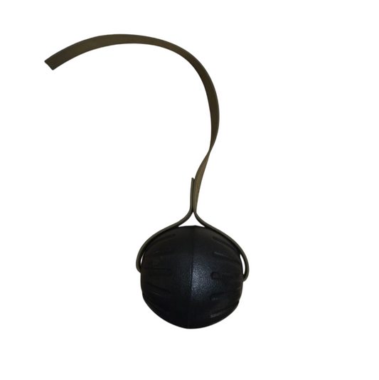 LARGE FOAM Ball with Stitched 1 inch Biothane Handle