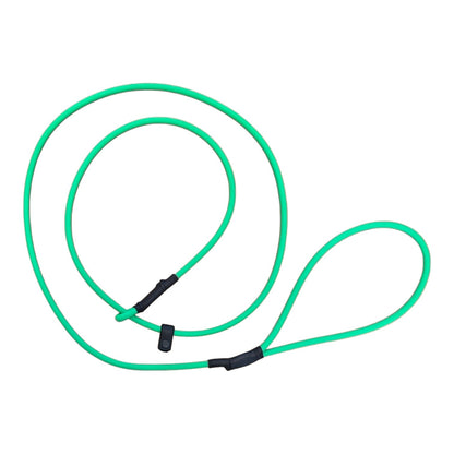 ROLLED BIOTHANE 5FT SLIP LEASH