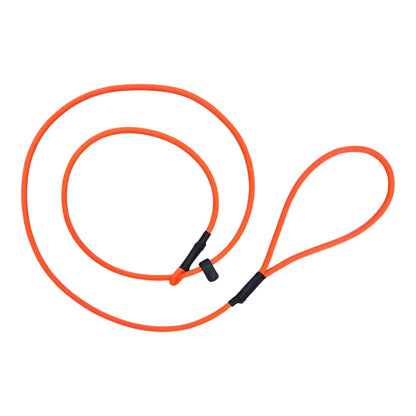 ROLLED BIOTHANE 5FT SLIP LEASH