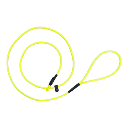 ROLLED BIOTHANE 5FT SLIP LEASH