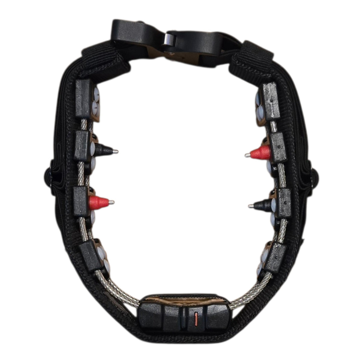 CHAMELEON CONCEALMENT COLLAR with COBRA BUCKLE