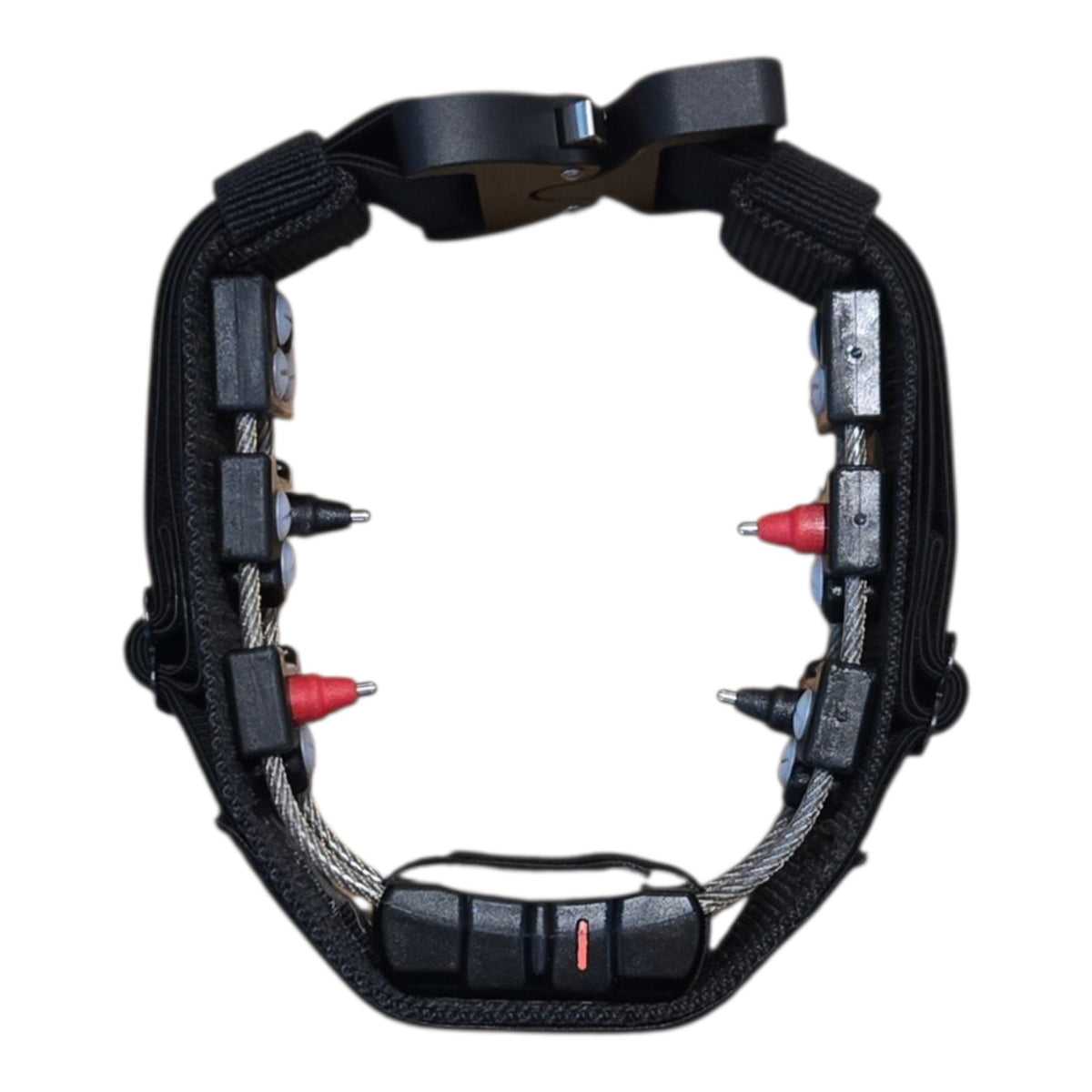 CHAMELEON CONCEALMENT COLLAR with COBRA BUCKLE