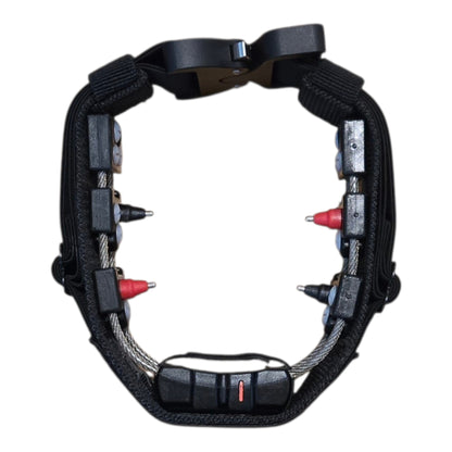 CHAMELEON CONCEALMENT COLLAR with COBRA BUCKLE
