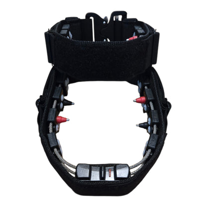 CHAMELEON CONCEALMENT COLLAR with COBRA BUCKLE