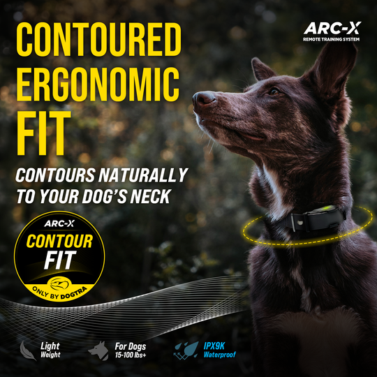 ARC-X 1 DOG UNIT
