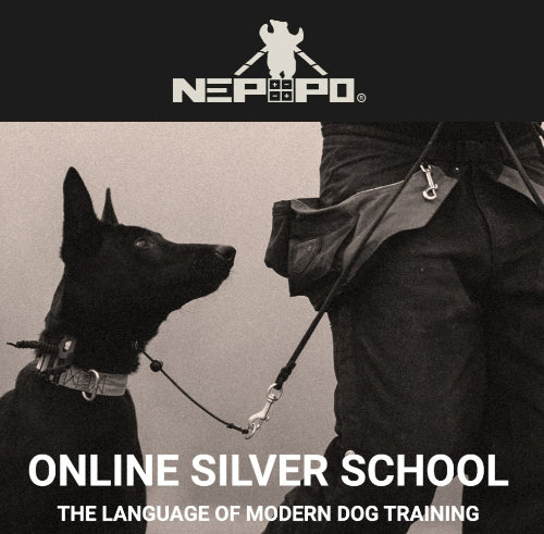 NEPOPO® ONLINE  SILVER SCHOOL