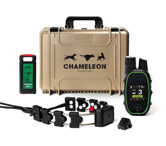 Dog training collar system with control devices and carrying case.