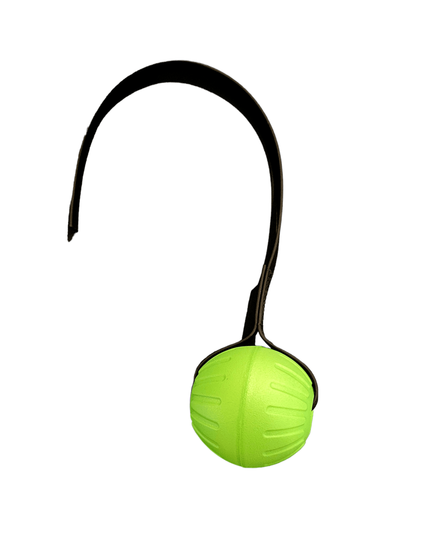 LARGE FOAM Ball with Stitched 3/4 inch Biothane Handle