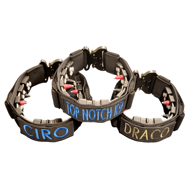 Chameleon Concealment Collar with Cobra Buckle Top Notch K9 Equipment