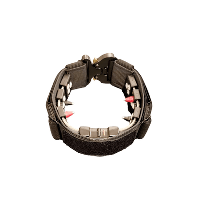 Chameleon Concealment Collar with Cobra Buckle