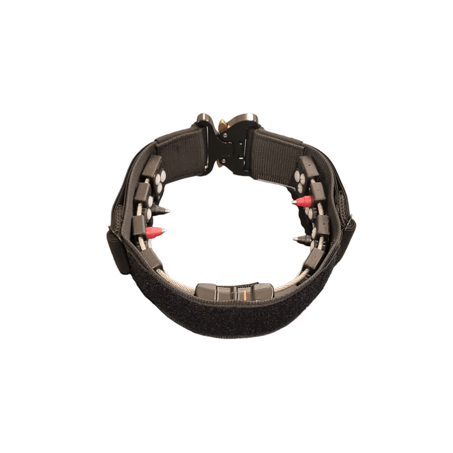 Chameleon Concealment Collar with Cobra Buckle