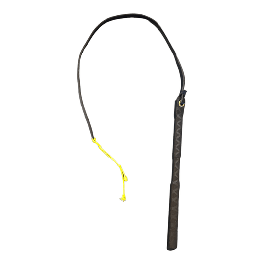 dog training whip