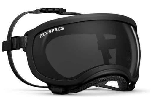 Original Rex Specs