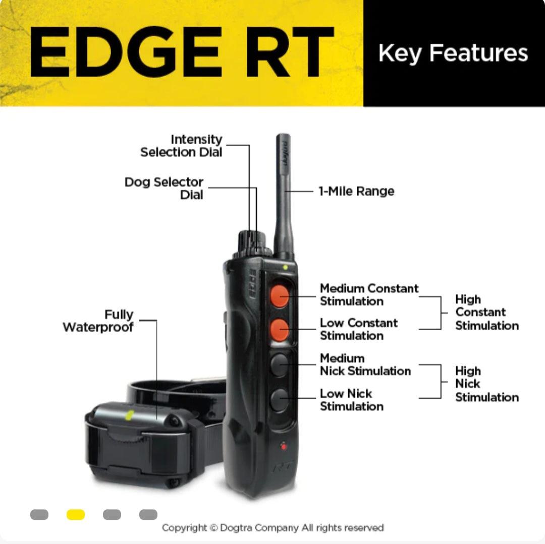 DOGTRA EDGE RT