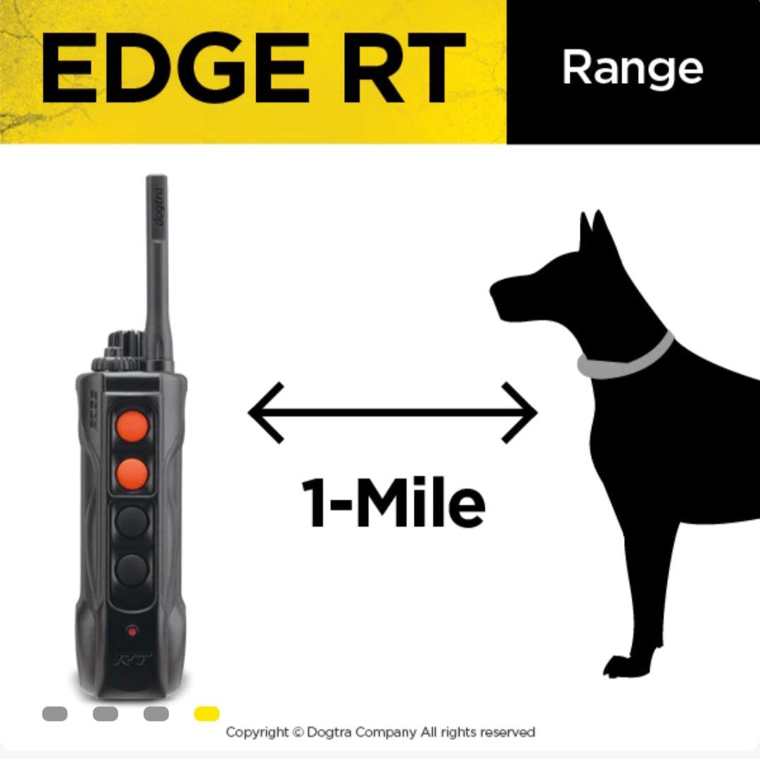 DOGTRA EDGE RT