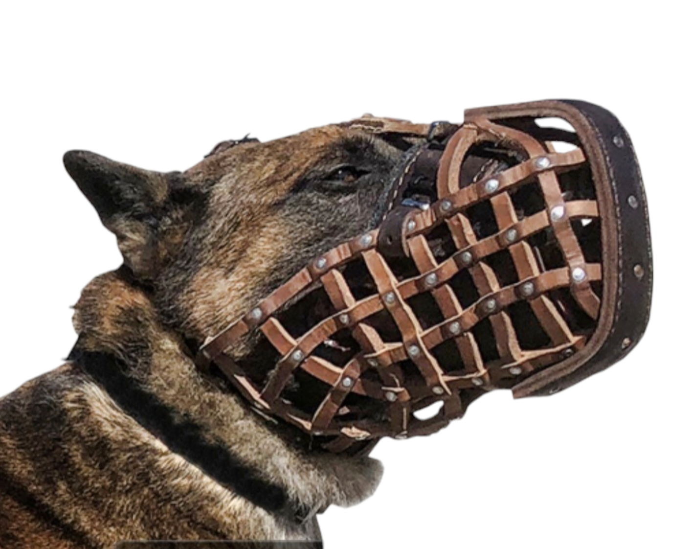 EUROPEAN LEATHER BASKET WEAVE MUZZLE