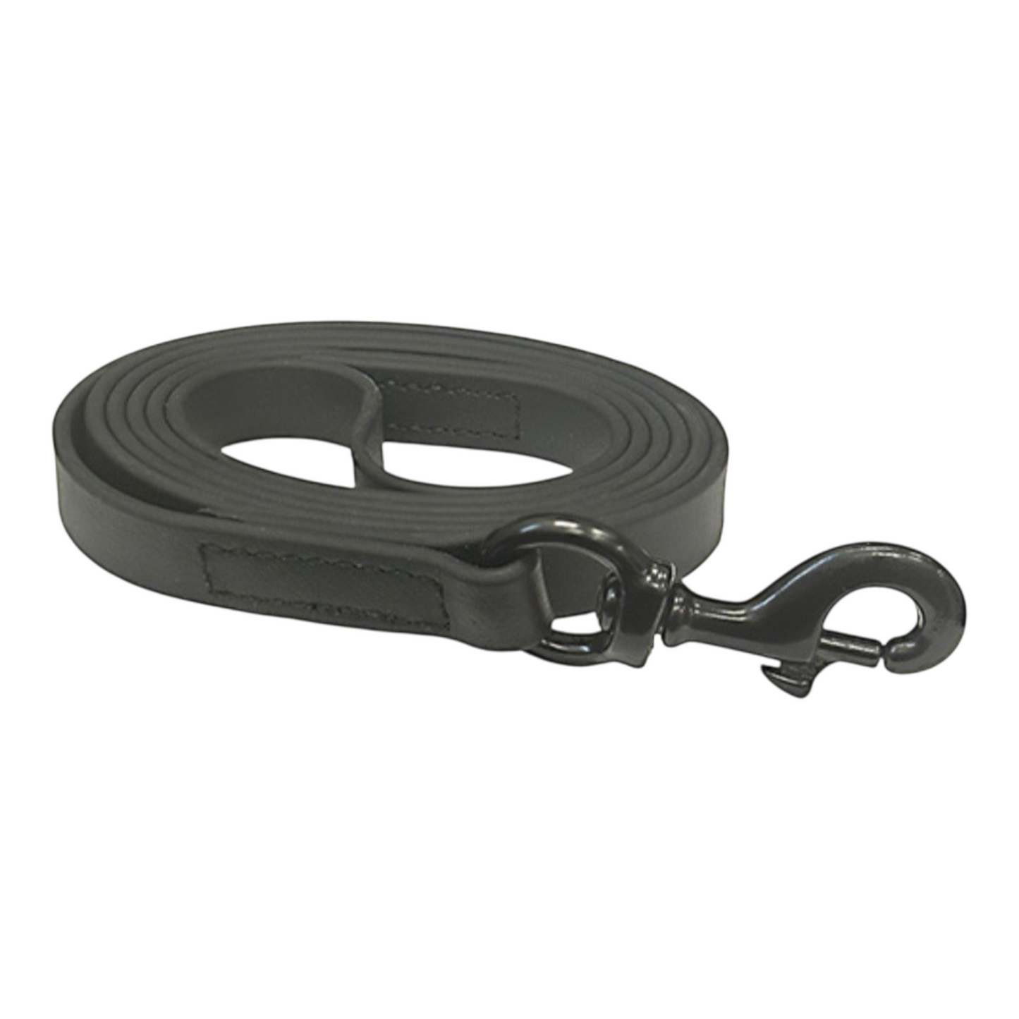6FT ASAT BIOTHANE LEASH